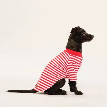 Blusa-Listra-Com-Manga-Vermelho-Sentado