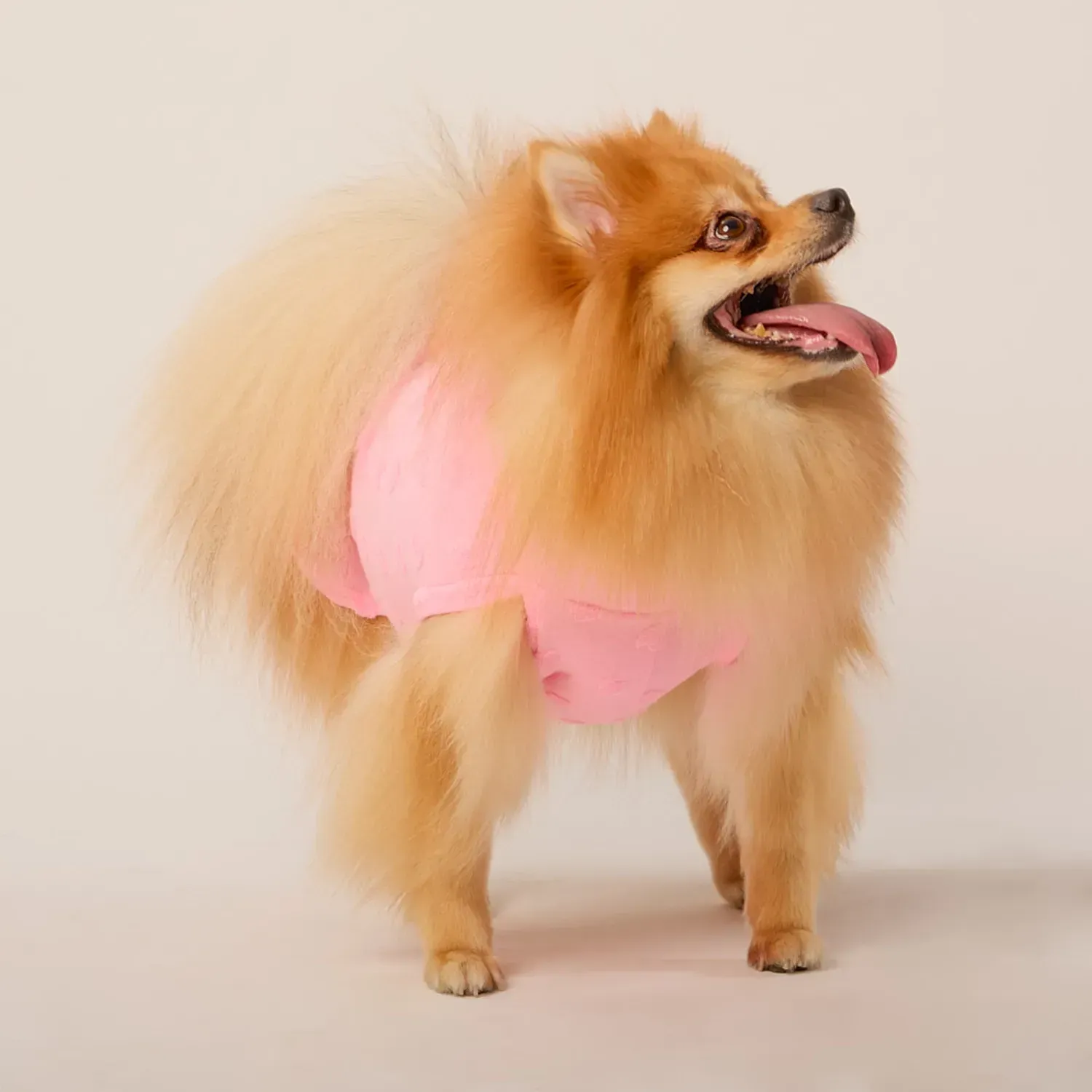 Vestido Coração Rosa Fábrica Pet
