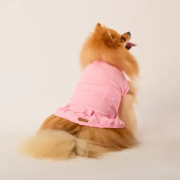 Vestido-Coracao-Rosa-Fabrica-Pet-Splitz-Costas