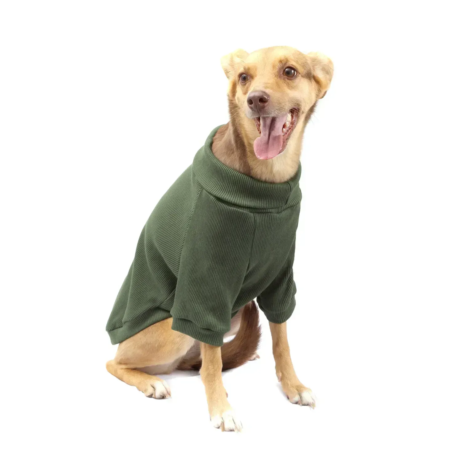 Cacharrel-Malha-Verde-Bichinho-Chic-Cachorro-Usando.webp