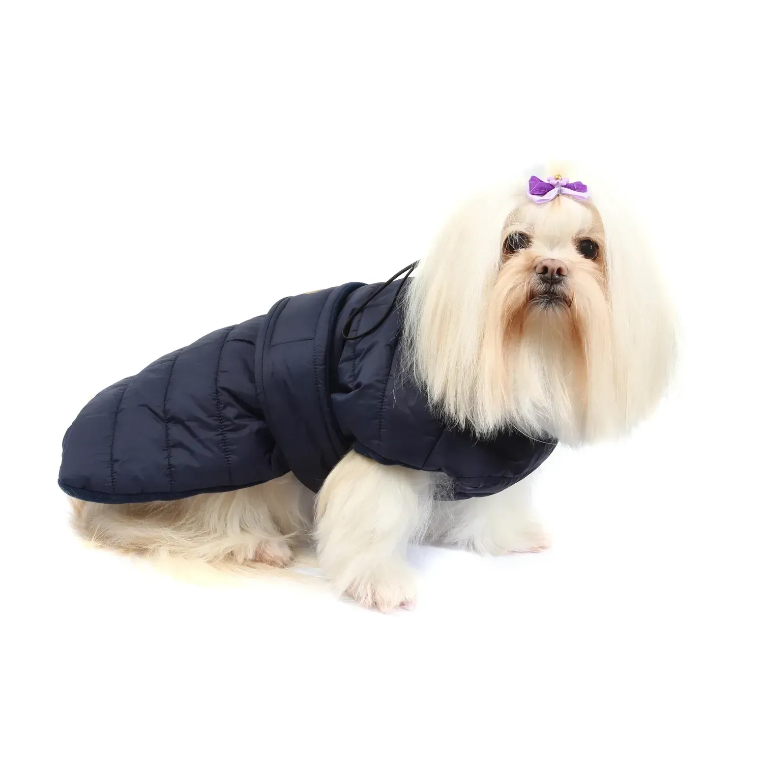 Jaqueta-Aspen-Azul-Bichinho-Chic-Lhasa-Apso-Lateral.webp