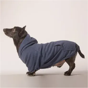 Blusao-Moletom-Azul-Bichinho-Chic-Cachorro-Dachshund-Usando