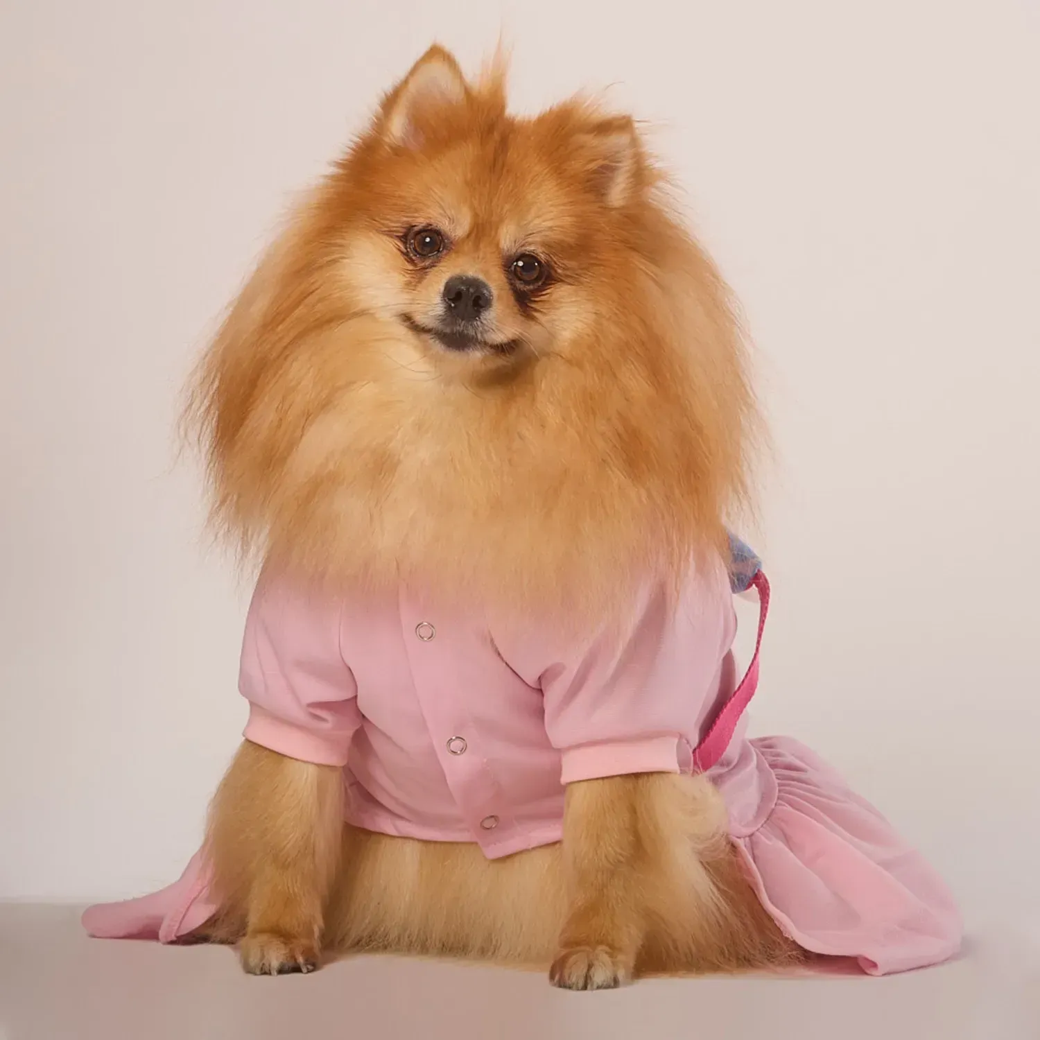 Vestido Originals para Cães e Gatos Emporium Distripet Rosa