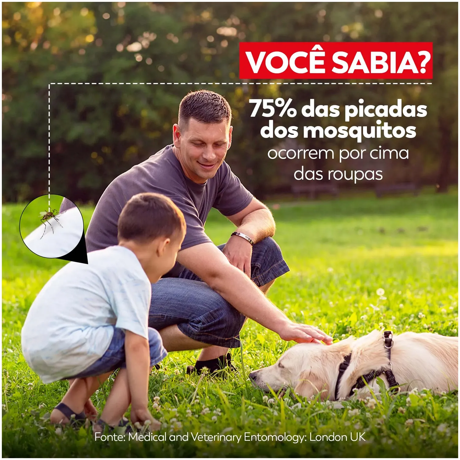 Repelente D-Fense Pro Tecidos Haxea