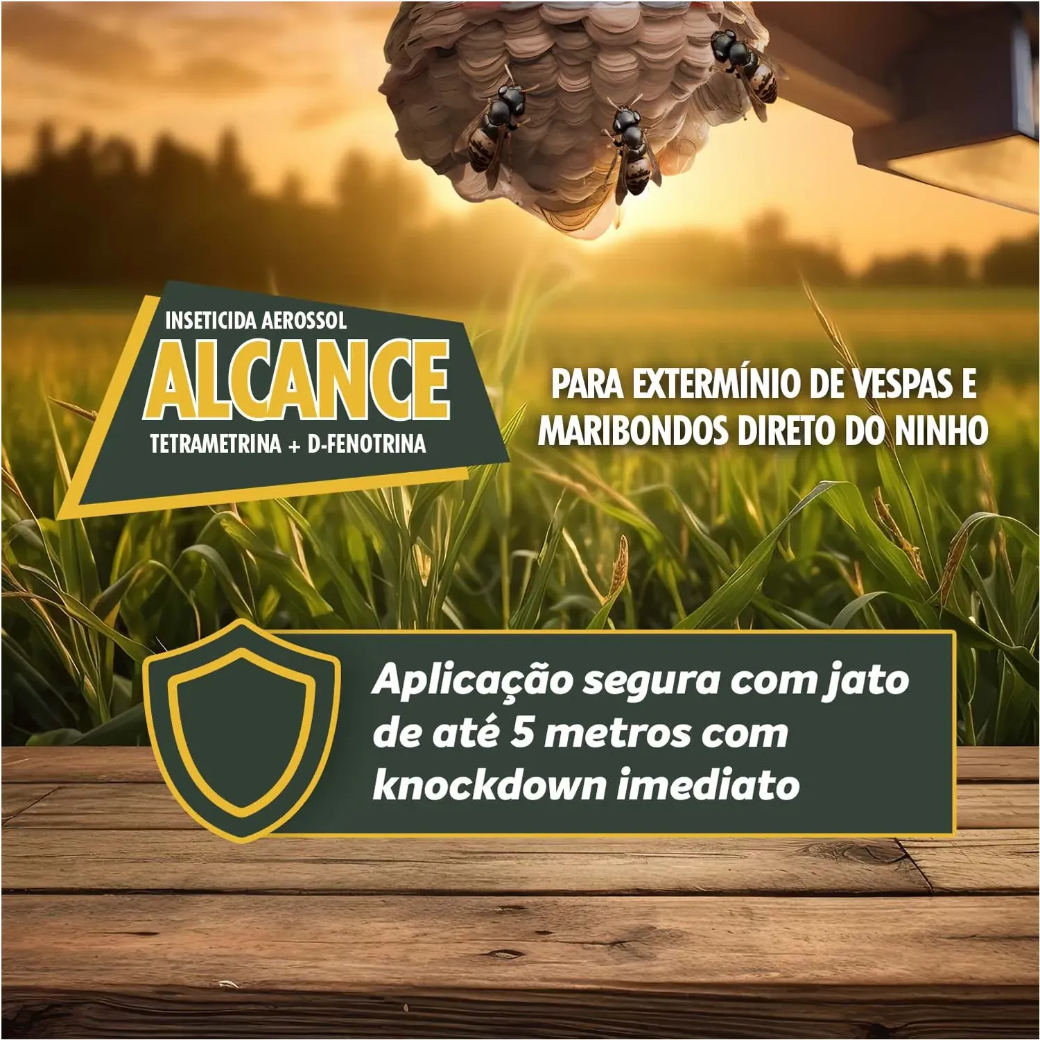 Inseticida Alcance Aerossol Haxea Inseticida Alcance Aerossol Haxea