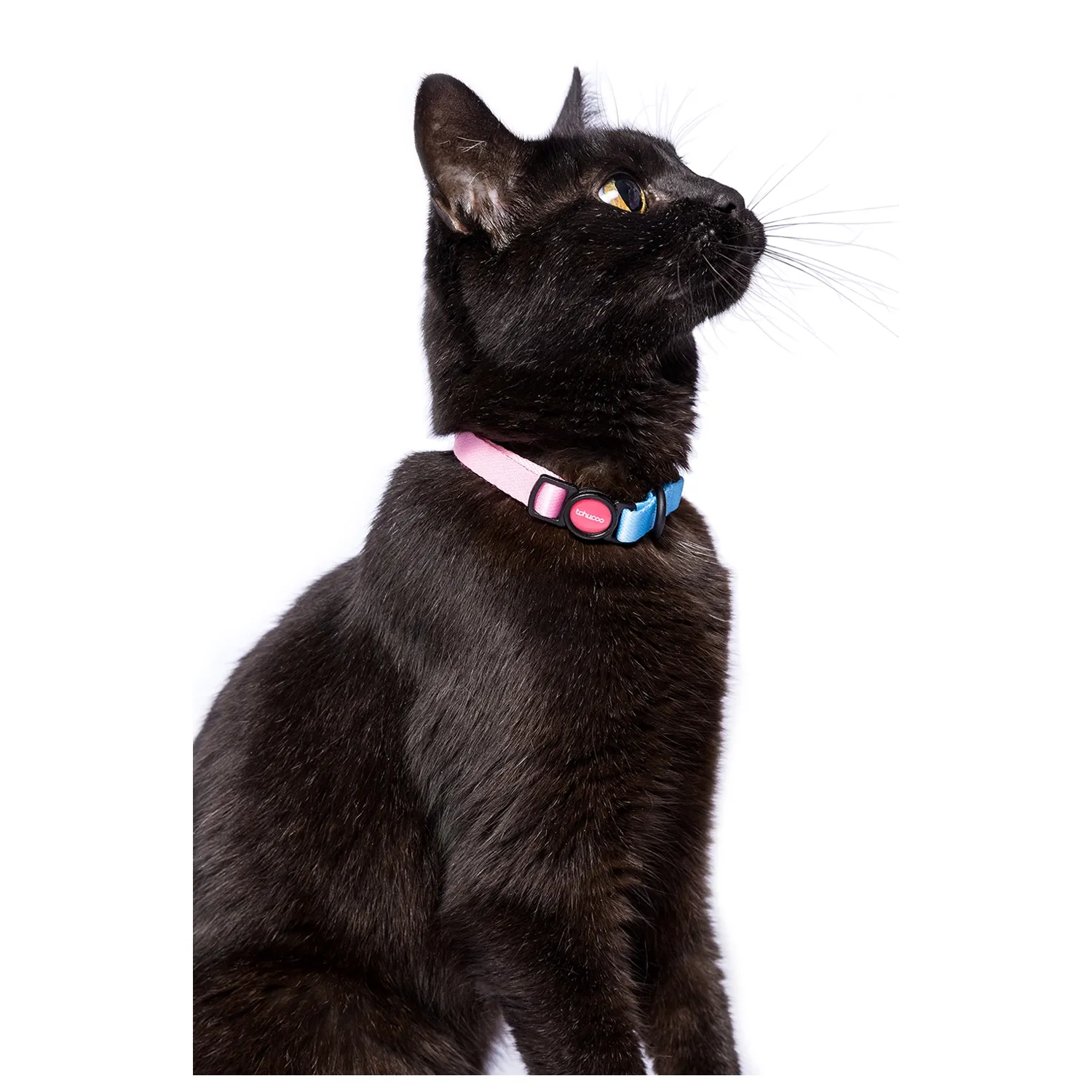 Coleira para Gatos Baby Tchucoo Rosa