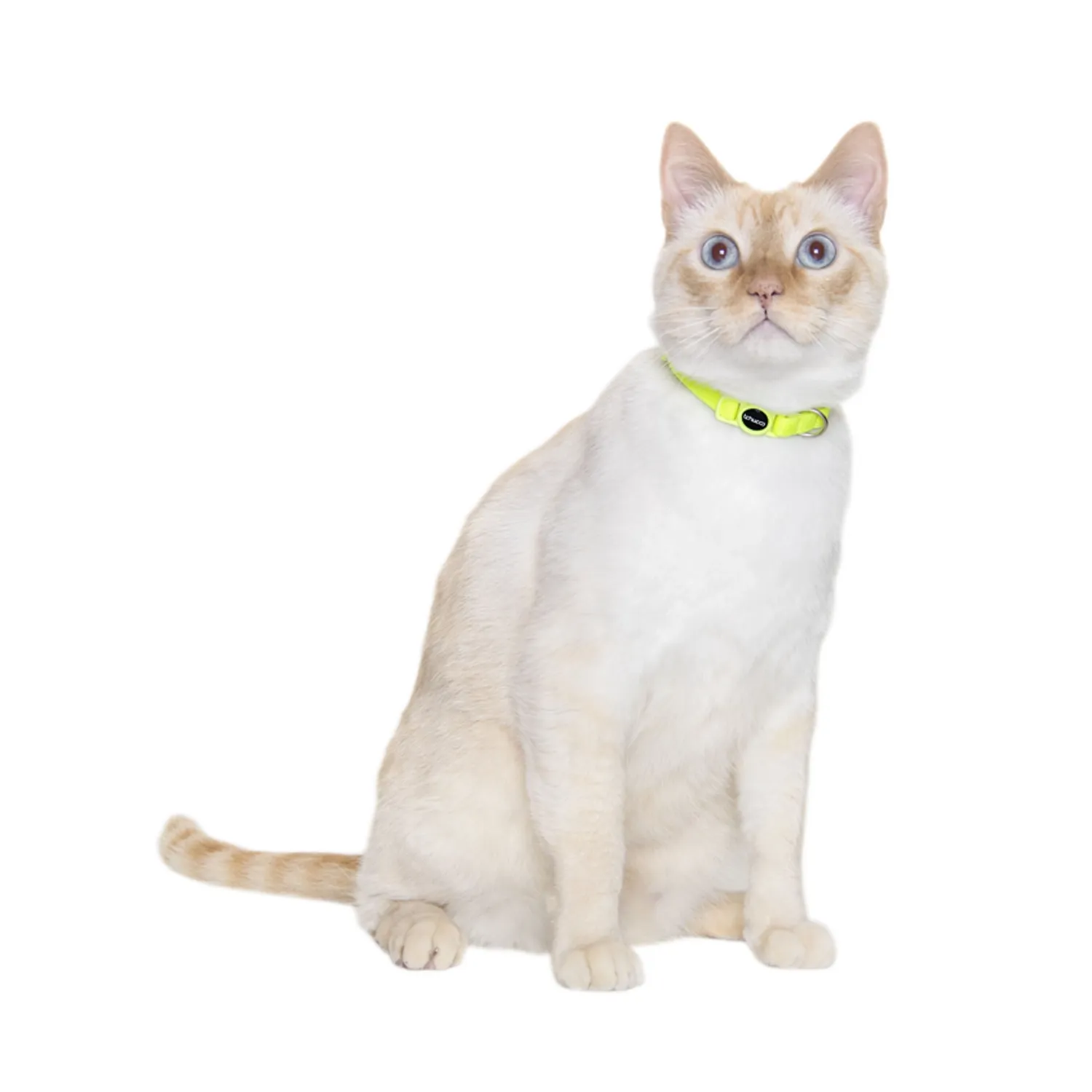 3-Coleira para Gatos Tchucoo Amarelinda