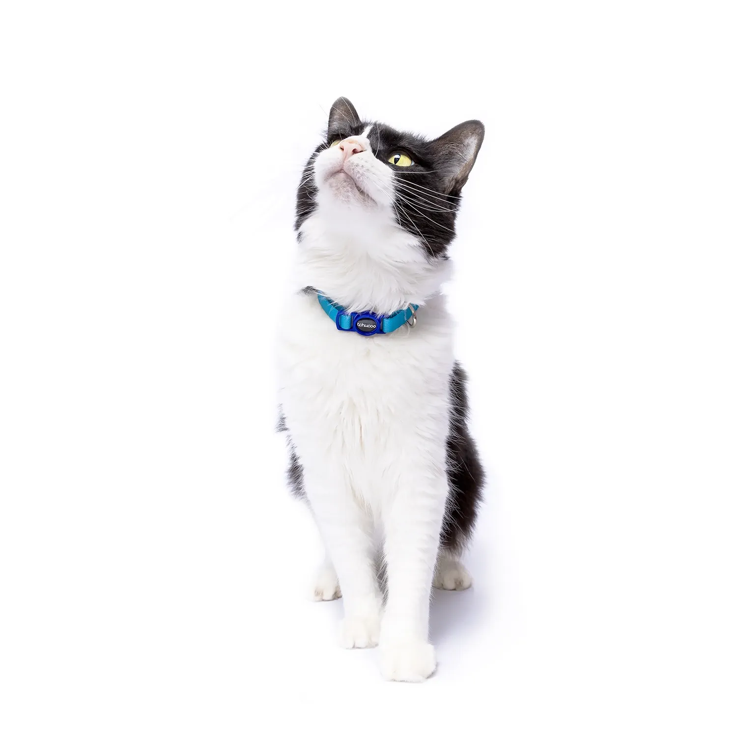 Coleira para Gatos Tchucoo Azul