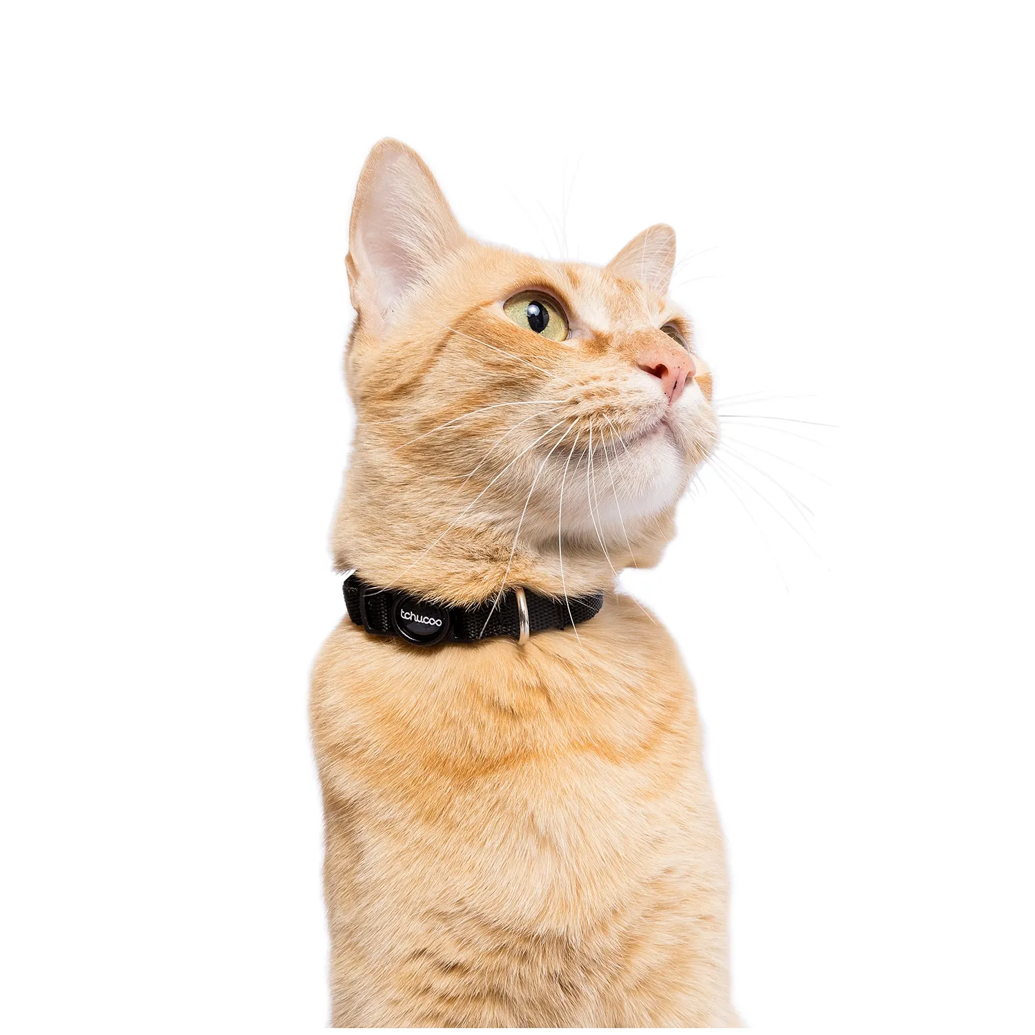 3-Coleira para Gatos Tchucoo Black