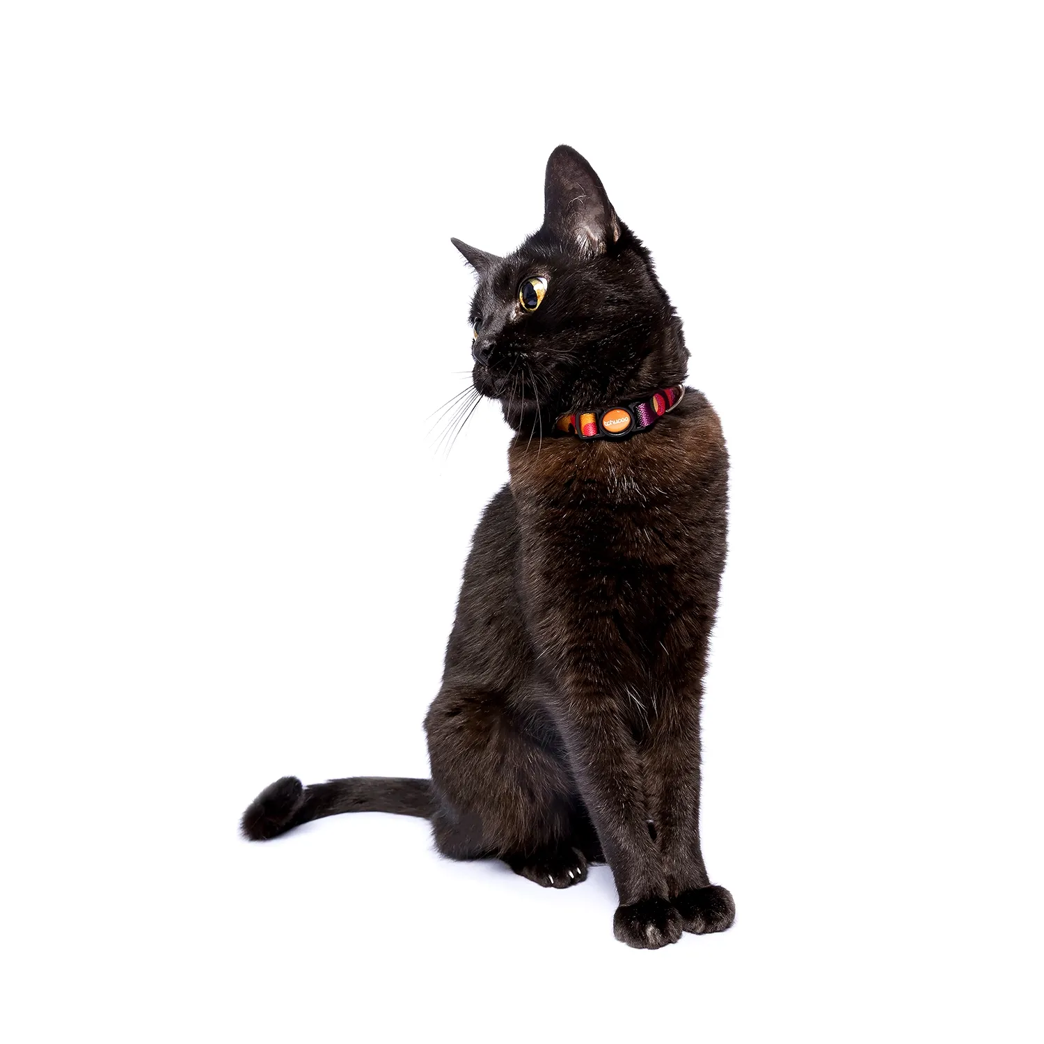 3-Coleira-para-Gatos-Tchucoo-Poa-Poa