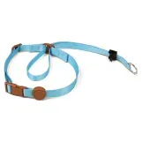 Coleira Cabresto para Cães Toh Azul