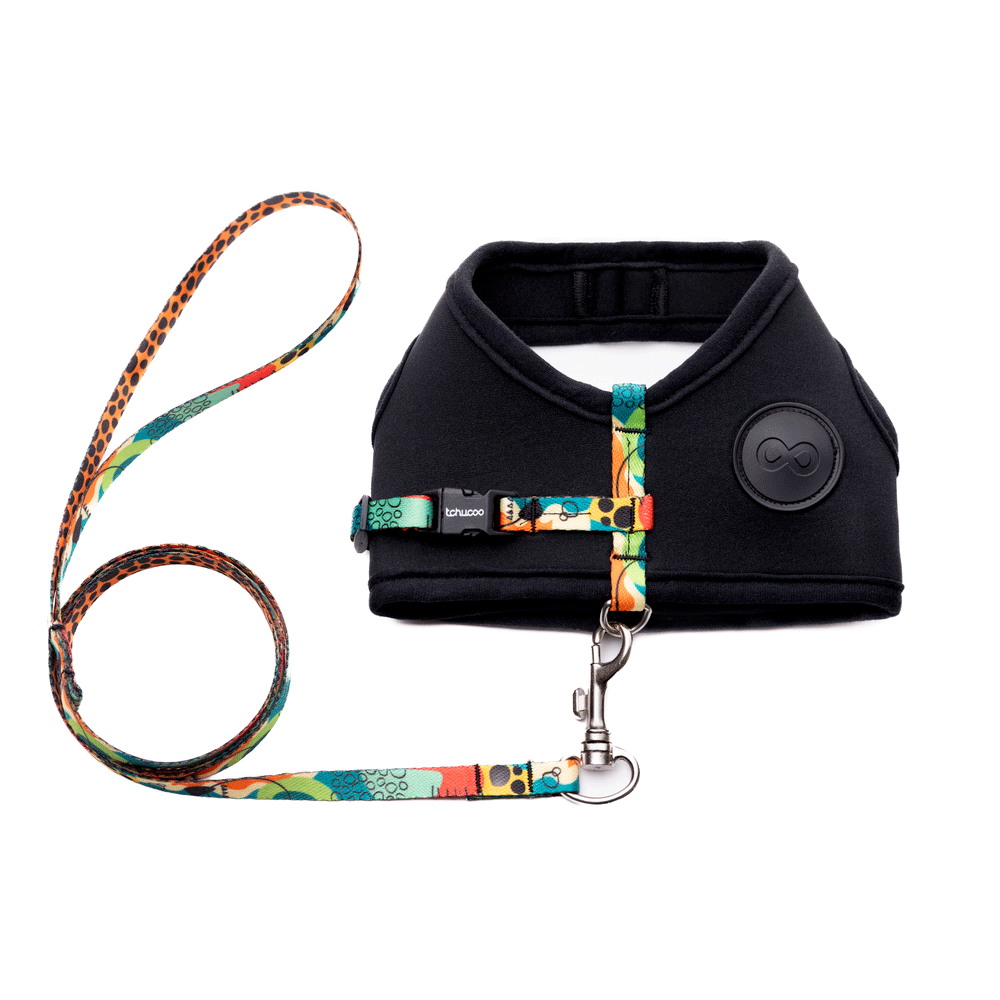 Peitoral e Guia Cat Neoprene Happy Tchucoo