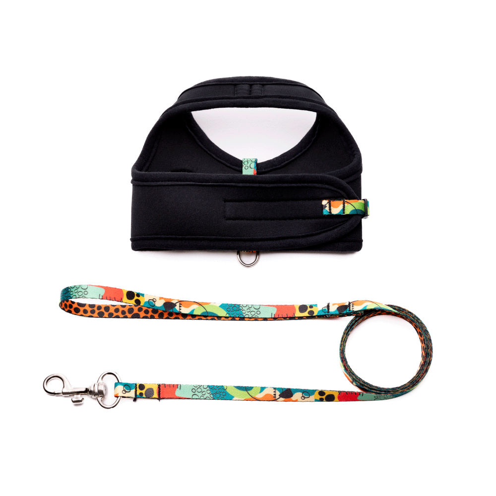 Peitoral e Guia Cat Neoprene Happy Tchucoo