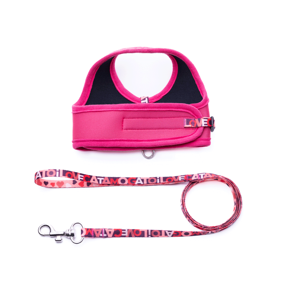 Peitoral e Guia Cat Neoprene Lovers Tchucoo