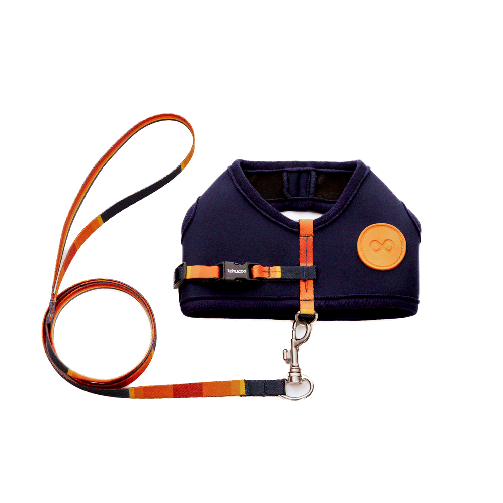 Peitoral e Guia Cat Neoprene Sunny Tchucoo