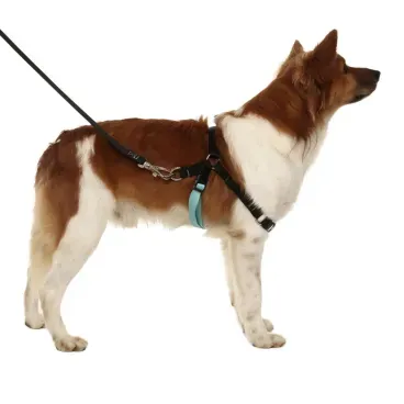 Pet-com-Conjunto-Peitoral-Antipuxao-com-Guia-Toh-Preto