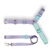 Conjunto Peitoral Antipuxão com Guia Toh Lilás