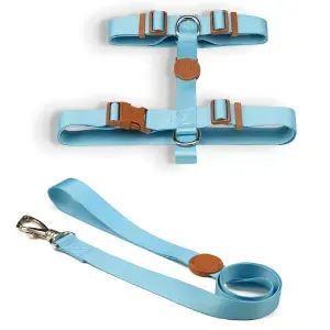 Conjunto Peitoral H com Guia Toh Azul