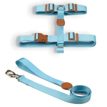 Conjunto-Peitoral-H-com-Guia-Toh-Azul