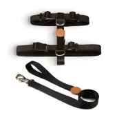 Conjunto Peitoral H com Guia Toh Preto