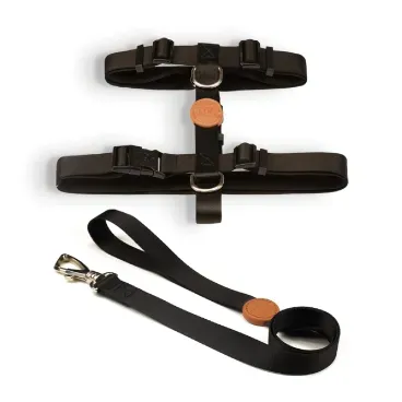 Conjunto-Peitoral-H-com-Guia-Toh-Preto