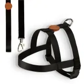 Conjunto Peitoral Tradicional com Guia Toh Preto