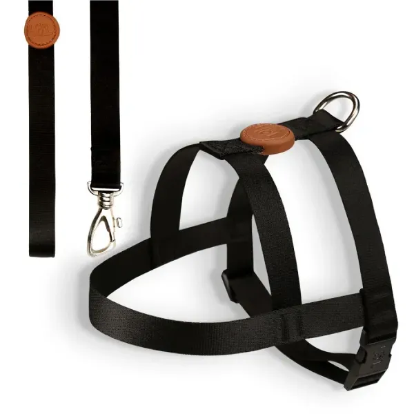 Conjunto Peitoral Tradicional com Guia Toh Preto GG