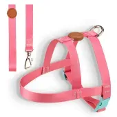 Conjunto Peitoral Tradicional com Guia Toh Fiji