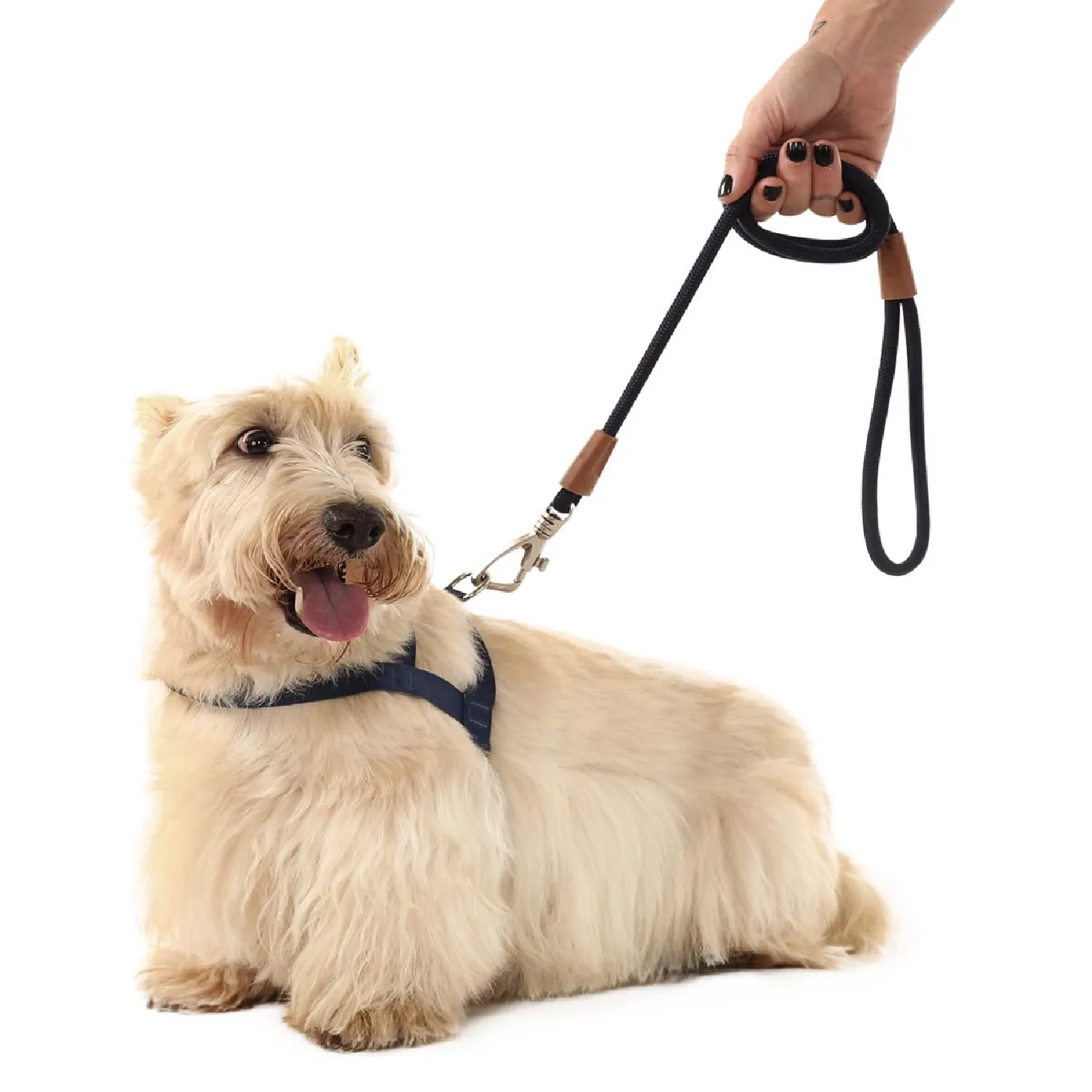 Guia Corda para Cães Toh Preta