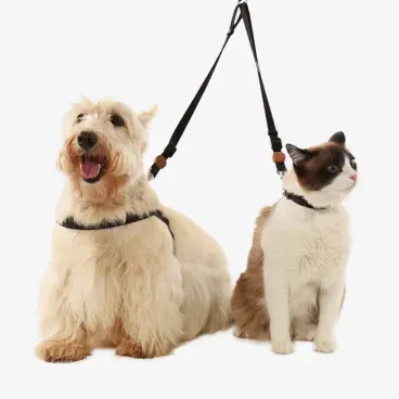 Cao-e-Gato-usando-a-Guia-Dupla-Toh-Preta-para-Caes-e-Gatos