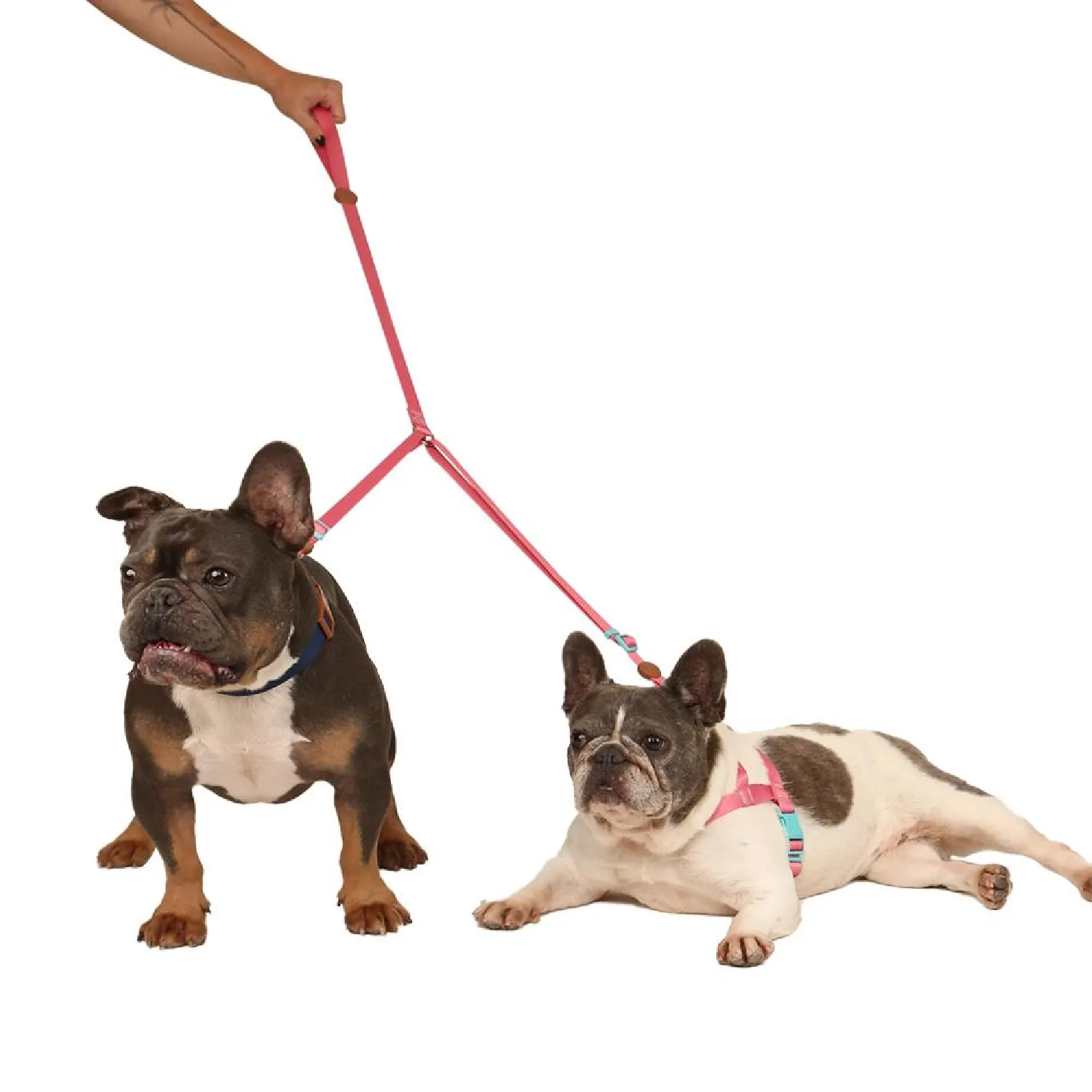 Guia Dupla Toh Fiji para Cães e Gatos