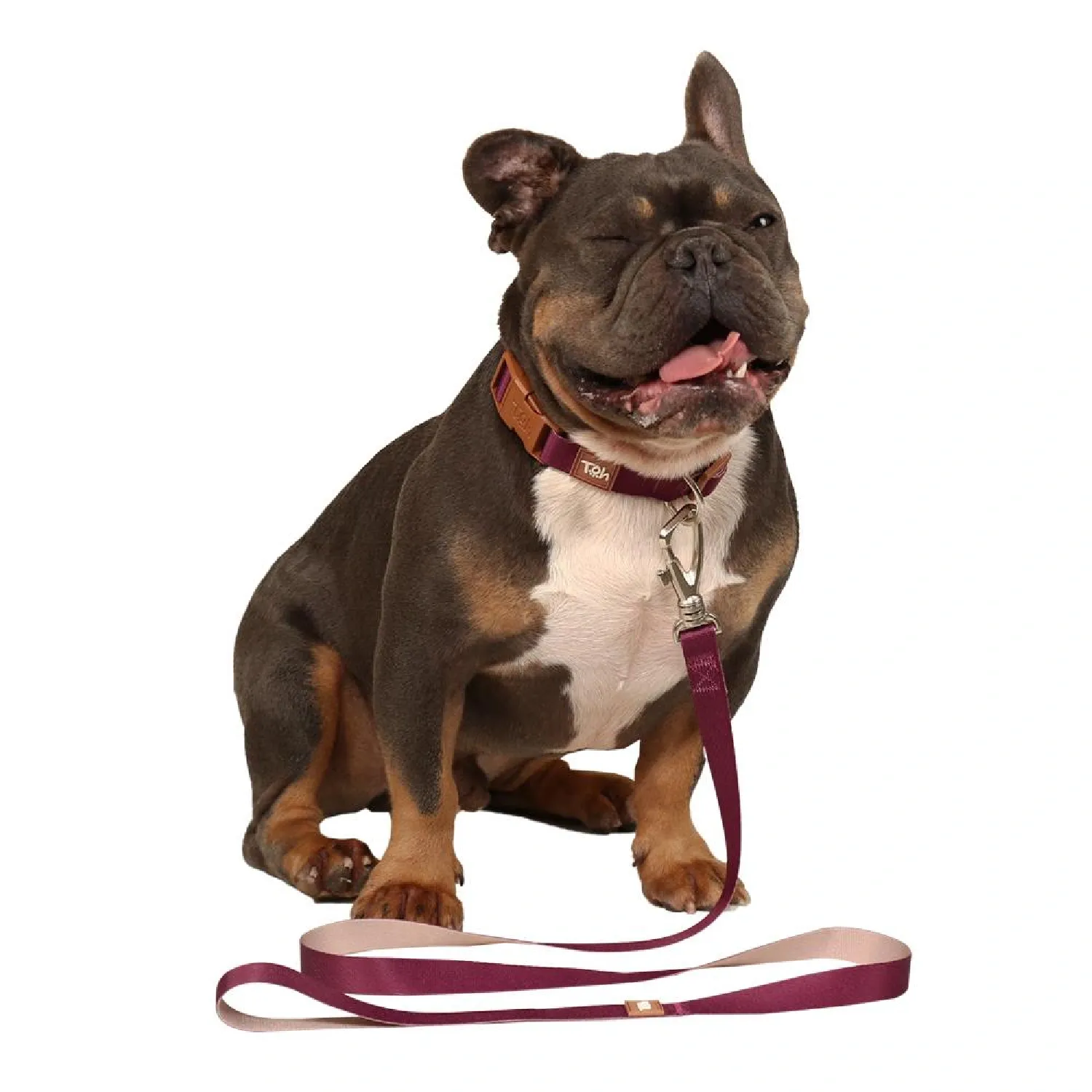 Guia Padrão para Cães Basic Toh Bordô