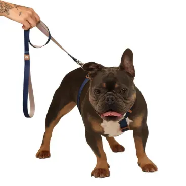 Pet-com-Guia-Padrao-para-Caes-Basic-Toh-Azul-Marinho