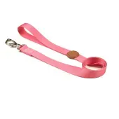 Guia Padrão para Cães Toh Fiji