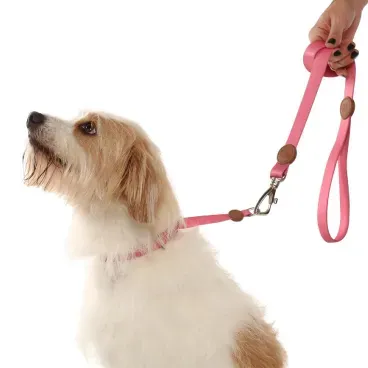 Pet-com-a-Guia-Padrao-para-Caes-Toh-Fiji
