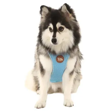 Pet-sentado-usando-o-Peitoral-H-Mesh-para-Caes-Toh-Azul