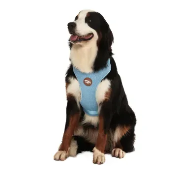 Pet-de-porte-grande-usando-o-Peitoral-H-Mesh-para-Caes-Toh-Azul