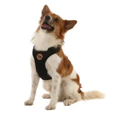 Pet-sentando-usando-o-Peitoral-H-Mesh-para-Caes-Toh-Preto