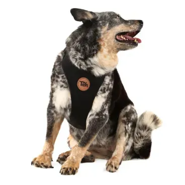 Pet-com-Peitoral-H-Mesh-para-Caes-Toh-Preto