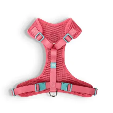 Peitoral-H-Mesh-para-Caes-Toh-Fiji-Costas