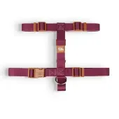 Peitoral H para Cães Basic Toh Bordô