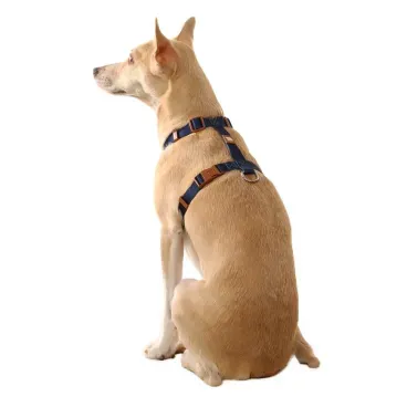 Pet-com-Peitoral-H-para-Caes-Basic-Toh-Azul