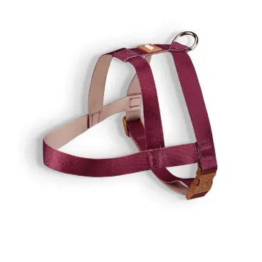 Peitoral-Tradicional-para-Caes-Basic-Toh-Bordo