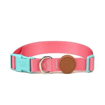 Coleira-Padrao-para-Caes-Toh-Fiji-detalhes