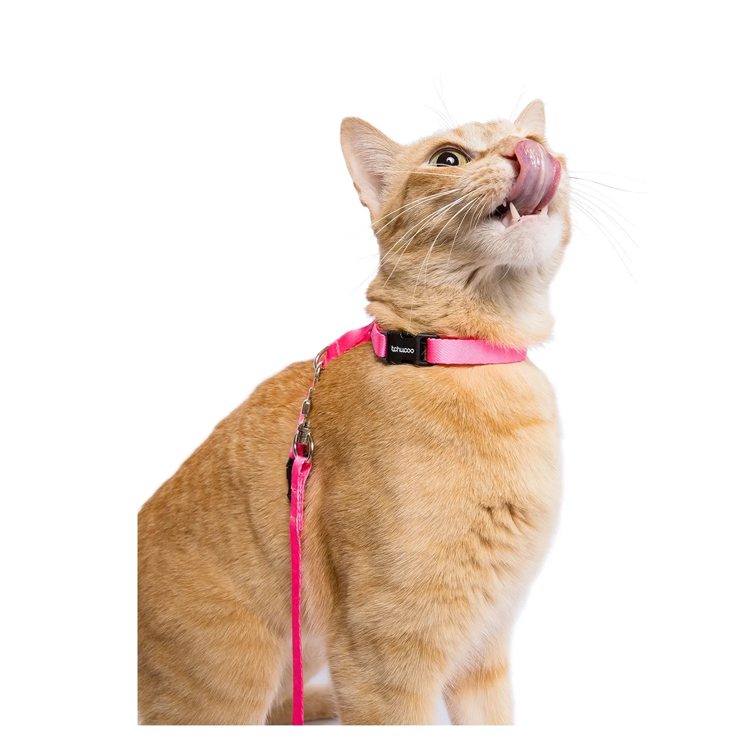 3-Peitoral H com Guia para Gatos Tchucoo Rosa
