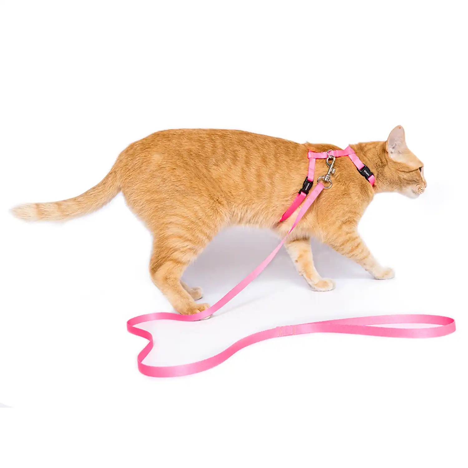 2-Peitoral H com Guia para Gatos Tchucoo Rosa