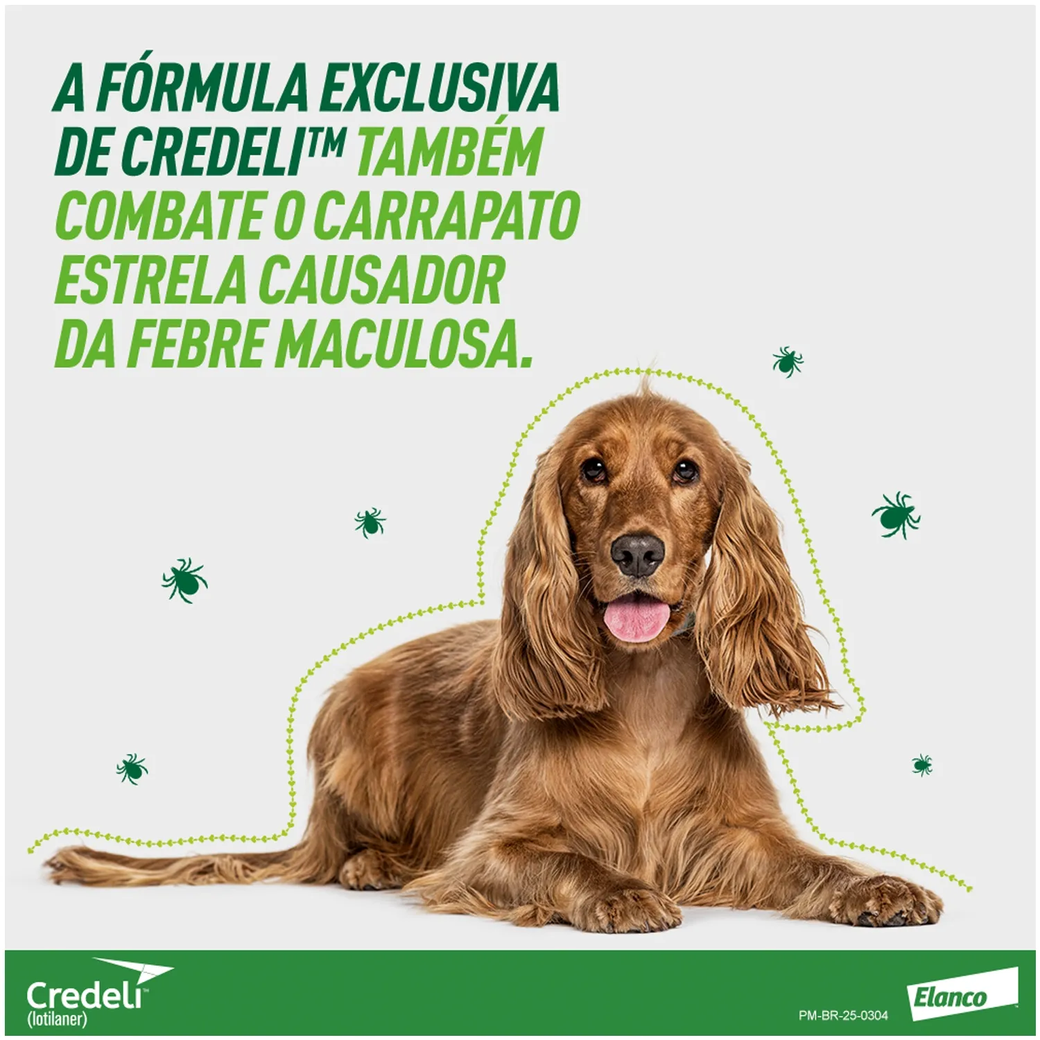 4-Antipulgas Credeli 56,25mg Caes 1,3 a 2,5 kg 3 comprimidos