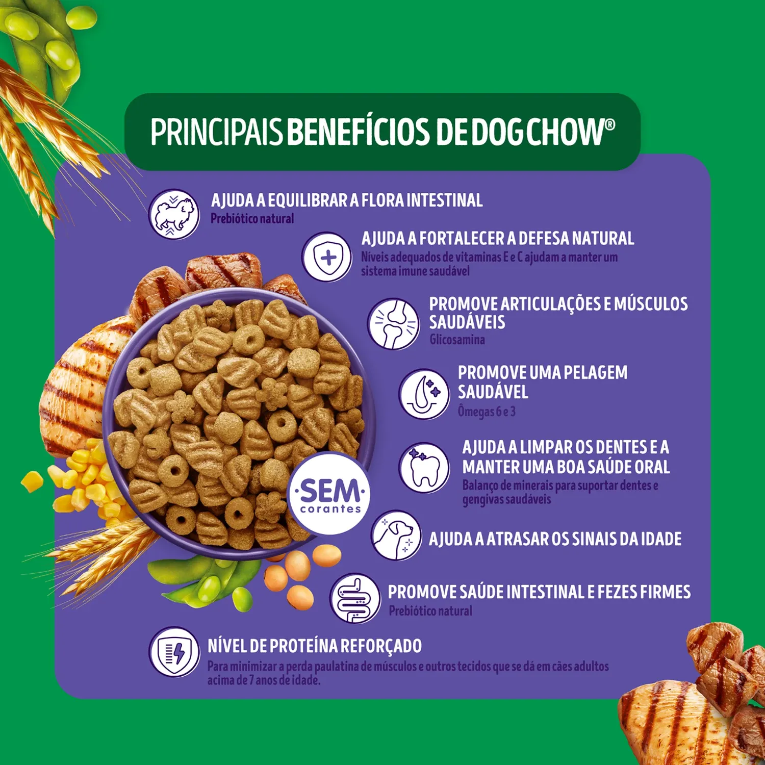 Principais-Beneficios