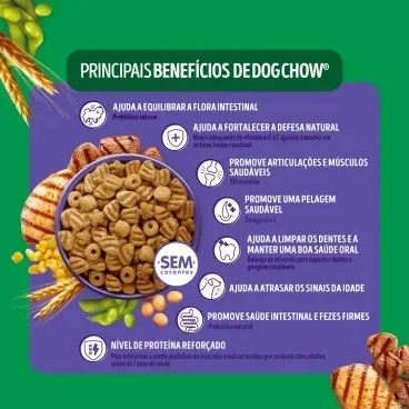 Principais-Beneficios