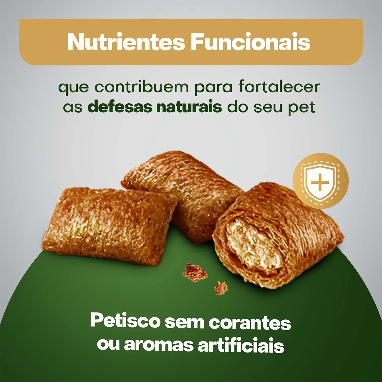 Petisco-sem-corante-e-aromatizantes